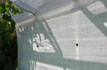 Qube muurkas LT612 188x374 cm