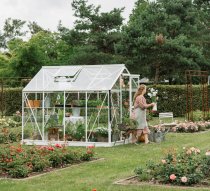 afbeelding Mary 2 wit