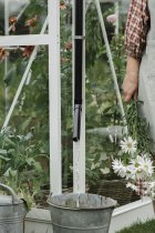 afbeelding Mary gootafvoer