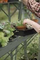 afbeelding tafel Mary 2