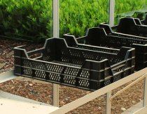 afbeelding pvc stekbak 40 x 60 cm.