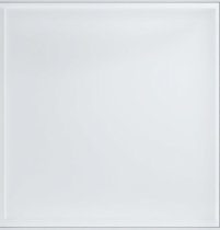 afbeelding 3 mm./ tuindersglas 610x610 mm.