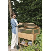 afbeelding Basilicum broeibak in de tuin