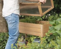 afbeelding Basilicum broeibak los