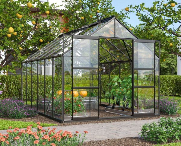 afbeelding Mars 9900 zwart met veiligheidsglas