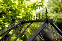 afbeelding Victoriaanse nok zwart