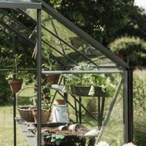 afbeelding kweekschap groen-grijs