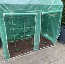 Maxi Tomato galva