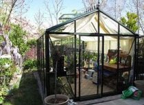 Helios Senior Victorian SV36