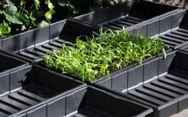 afbeelding zaaibakjes