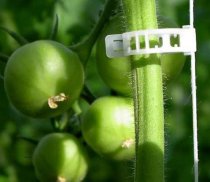 afbeelding aangebrachte klimmerclip